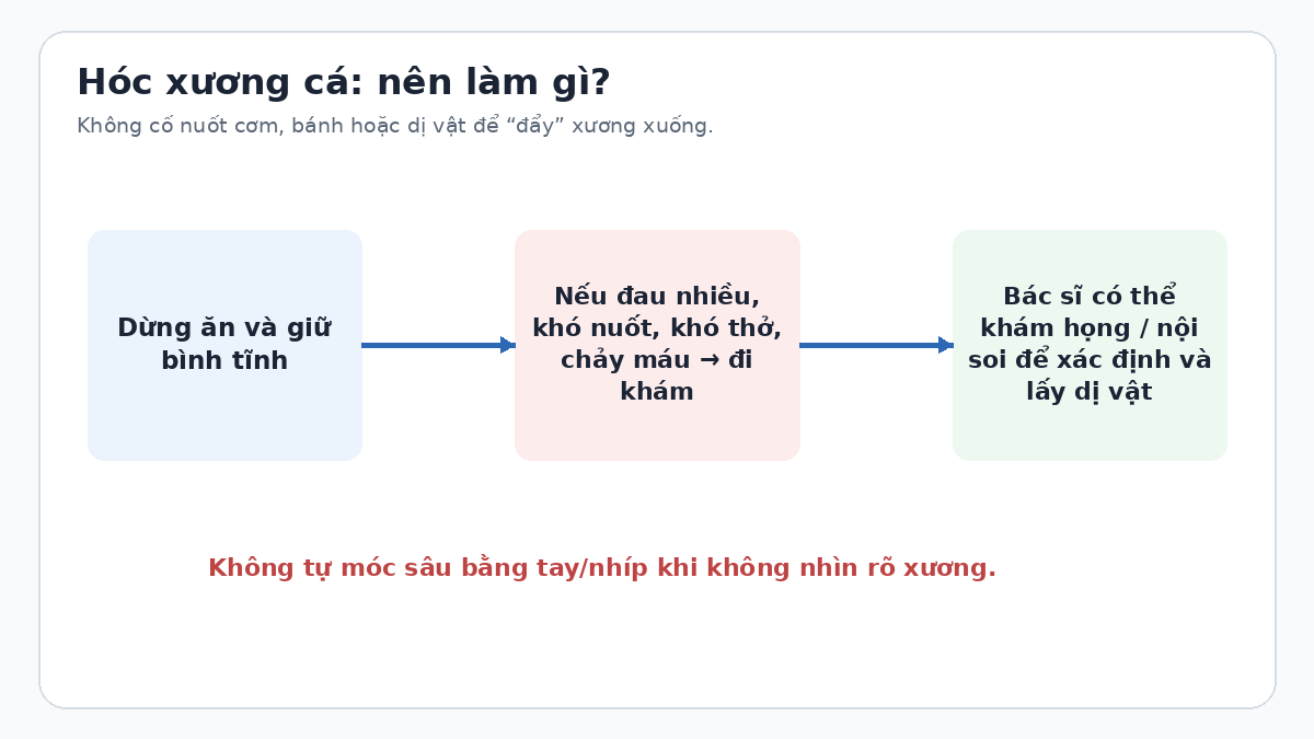 Hóc xương cá thì làm thế nào? Sơ đồ xử trí an toàn khi nghi hóc xương cá